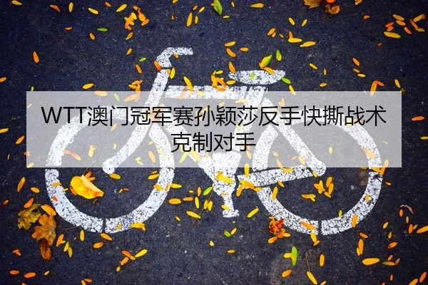ao-men-guan-jun-sai-sun-ying-sha-fan-shou-kuai-si-zhan-shu-ke-zhi-dui-shou-2-188.jpg
